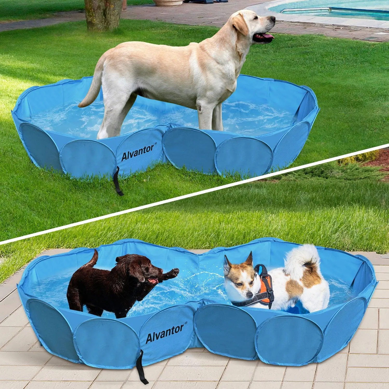 Alvantor Double Swimming Pool Pet Bathing Tub Portable Kiddie Pools