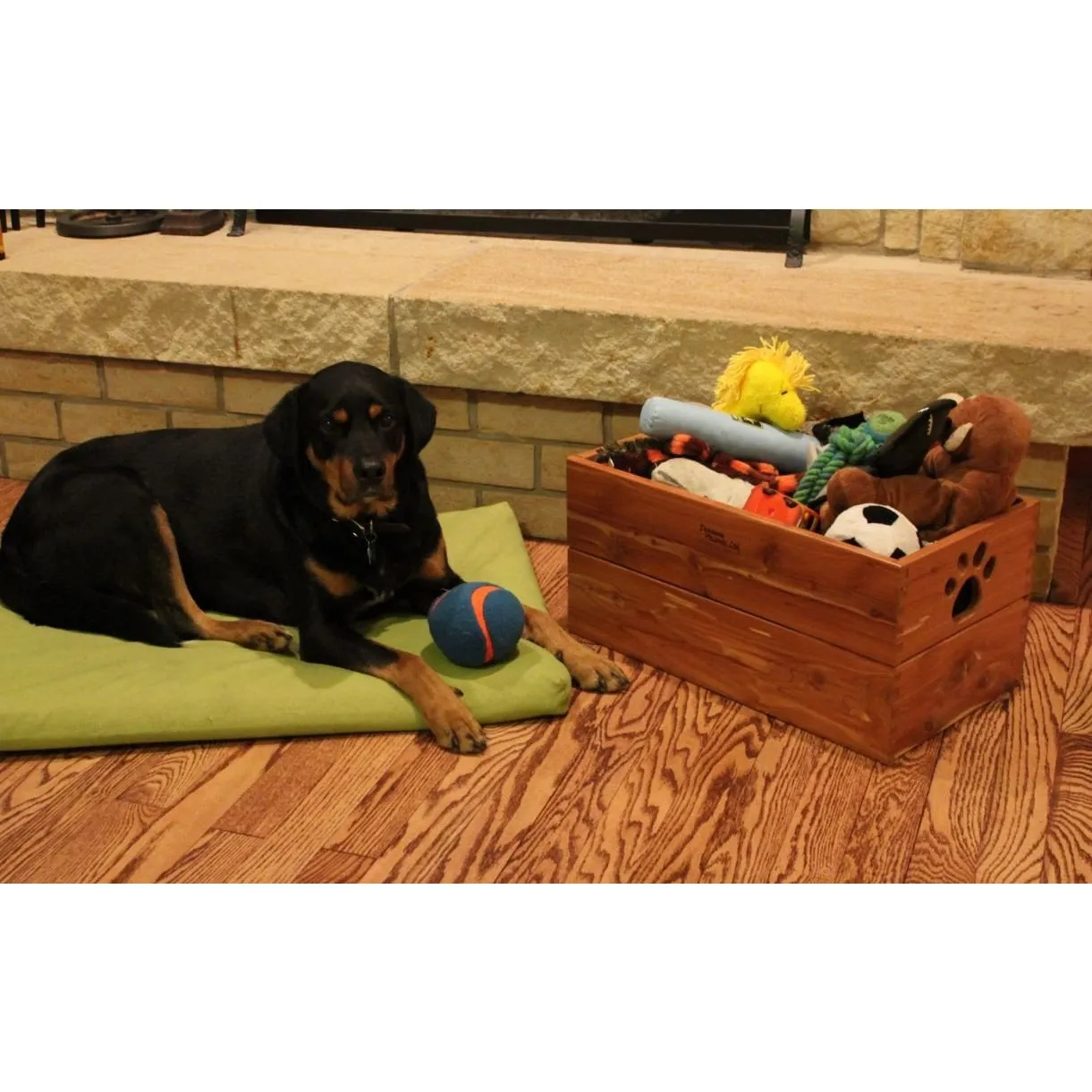 Amish Handcrafted Pet Toy Box