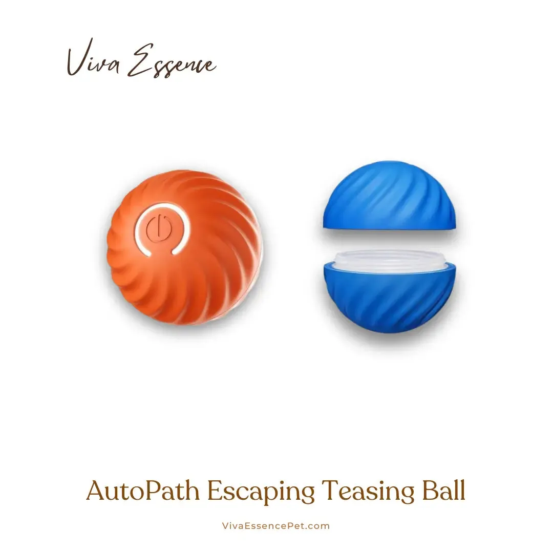 Automated Path Escaping Teasing Ball