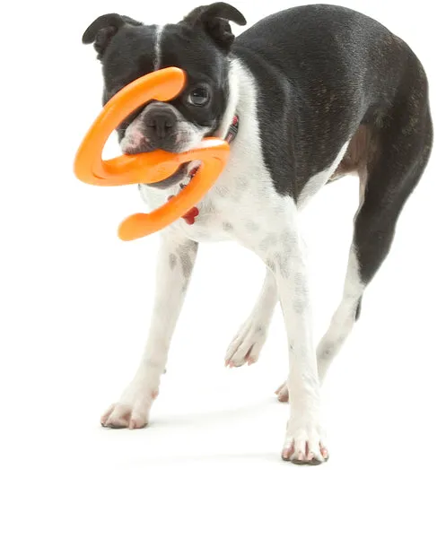 Būmi® Tug Dog Toy - Small