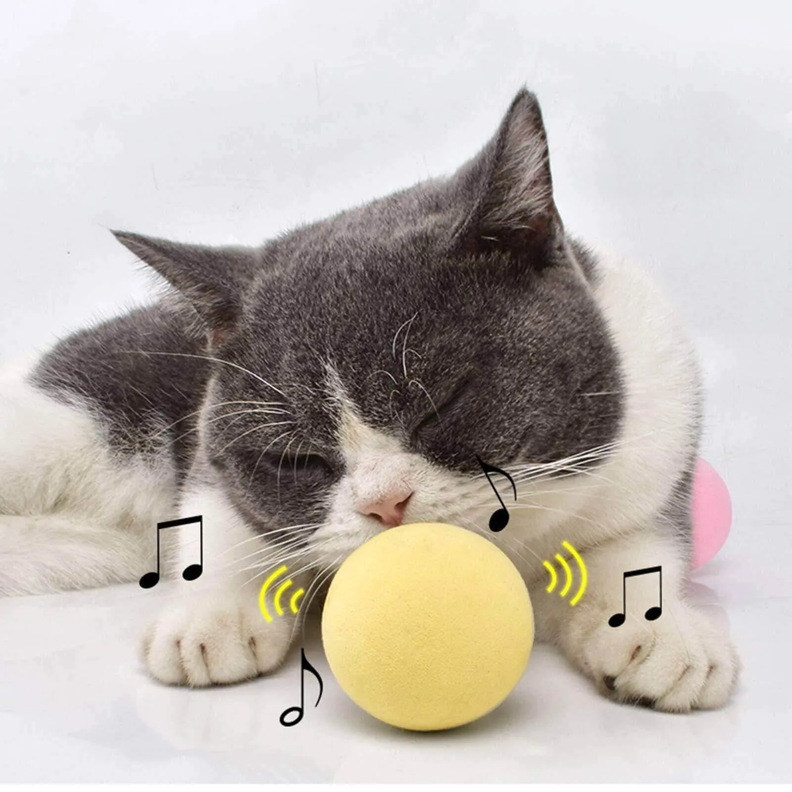 Catnip Training Ball Smart Cat Toy With Sound