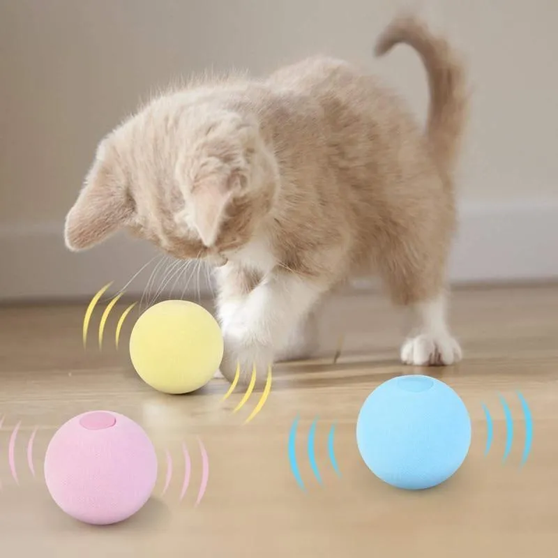 Catnip Training Ball Smart Cat Toy With Sound