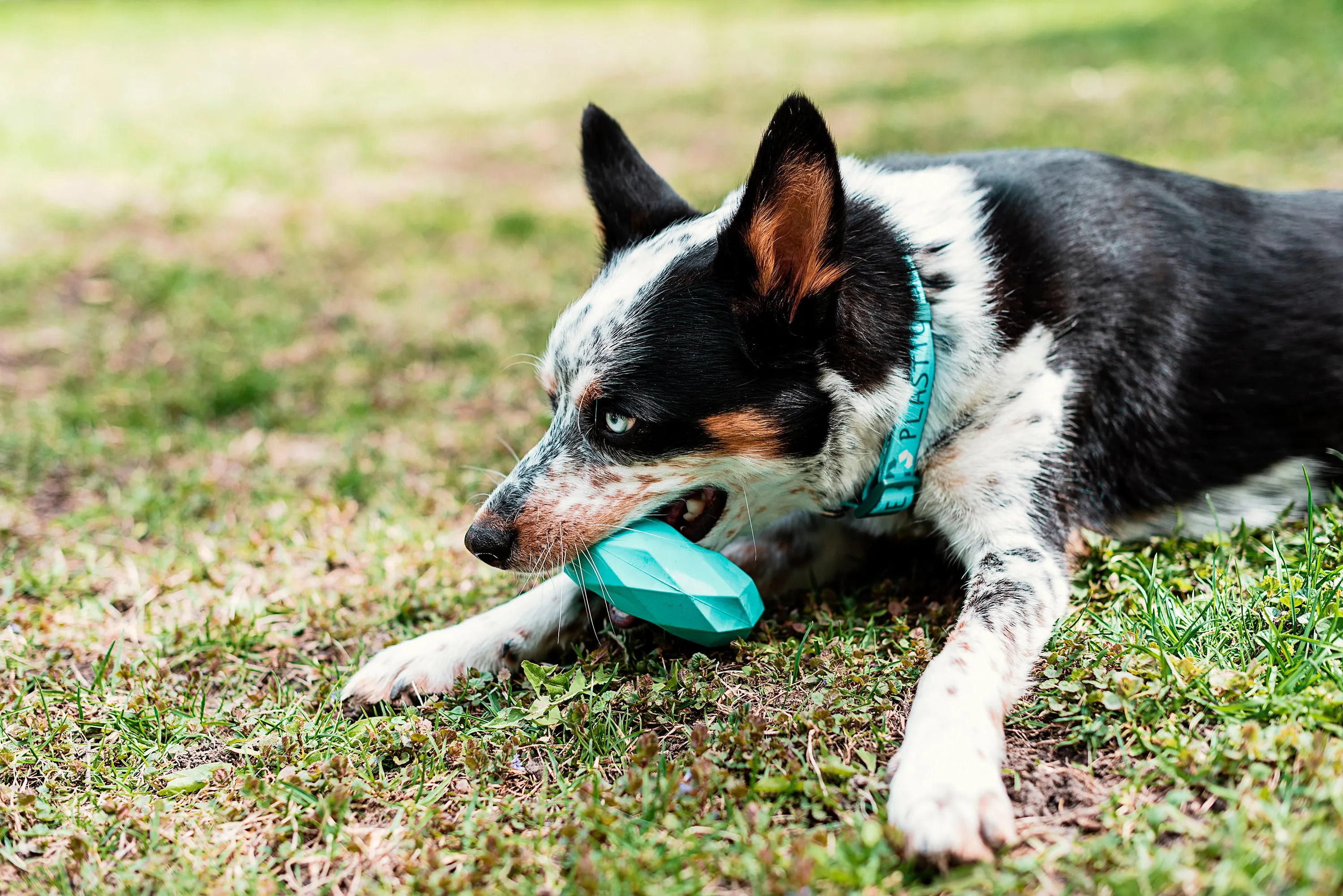 Channel Chew Ring