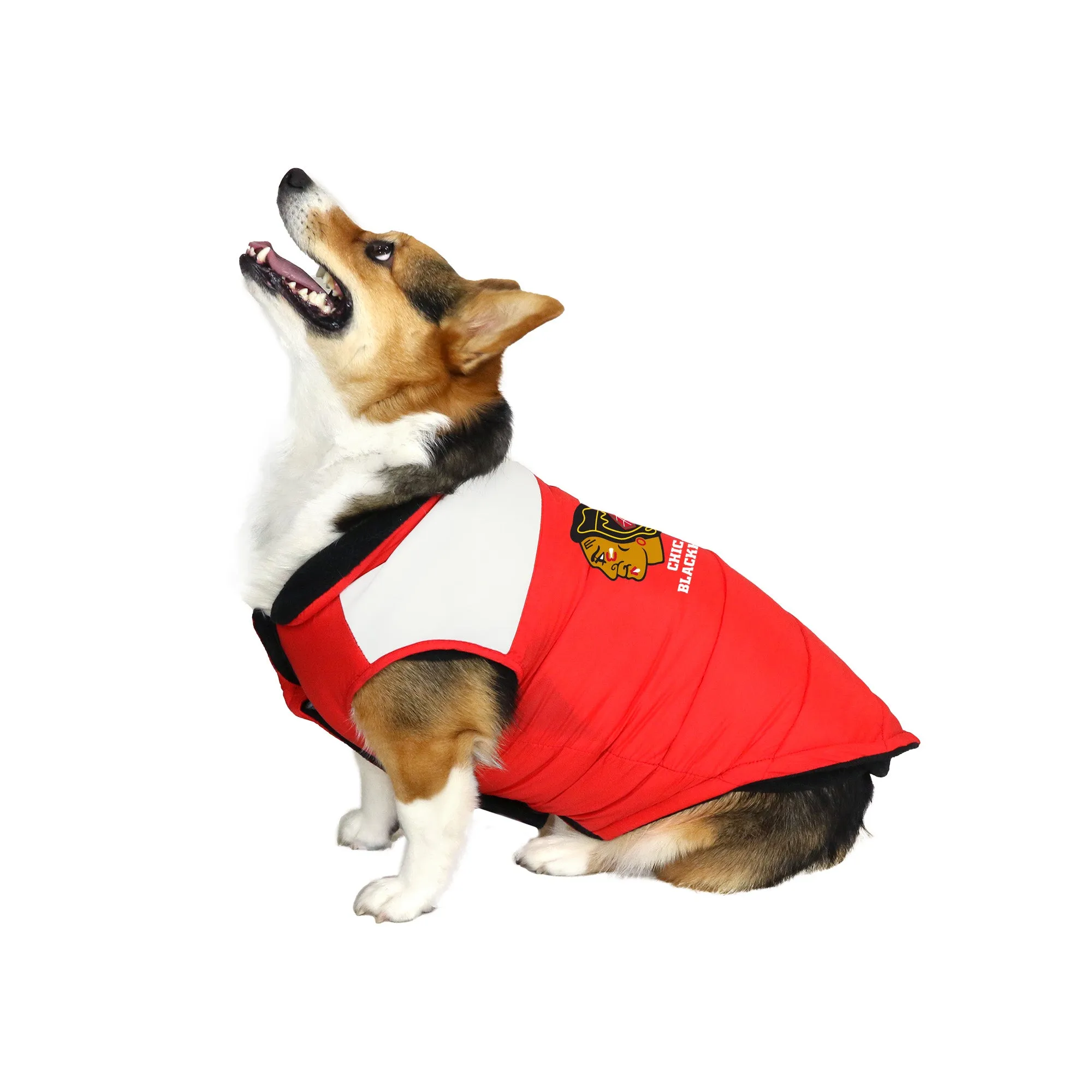 Chicago Blackhawks Pet Parka Puff Vest