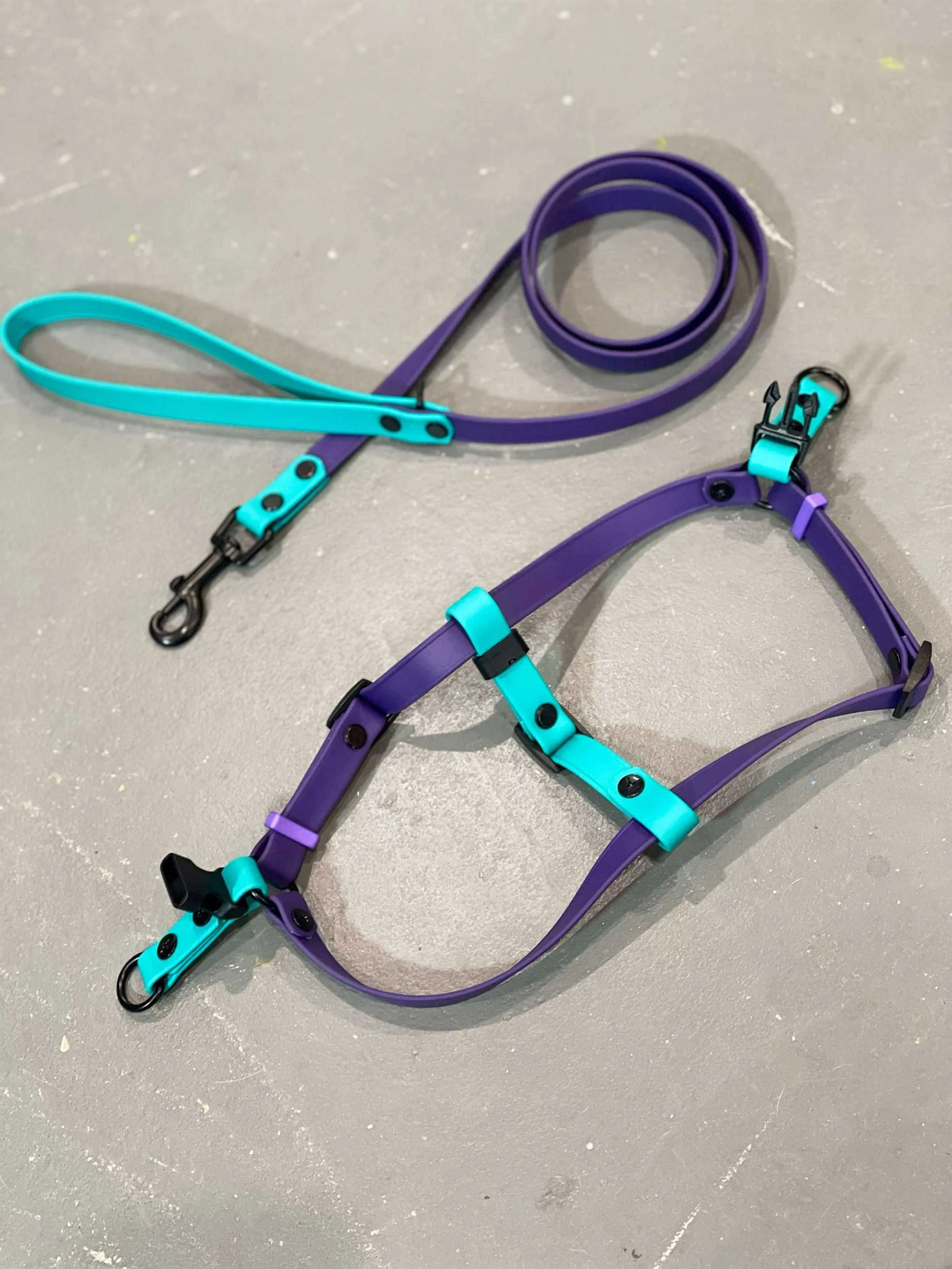 Custom Step in Harness and Leash, handmade biothane for the perfect fit