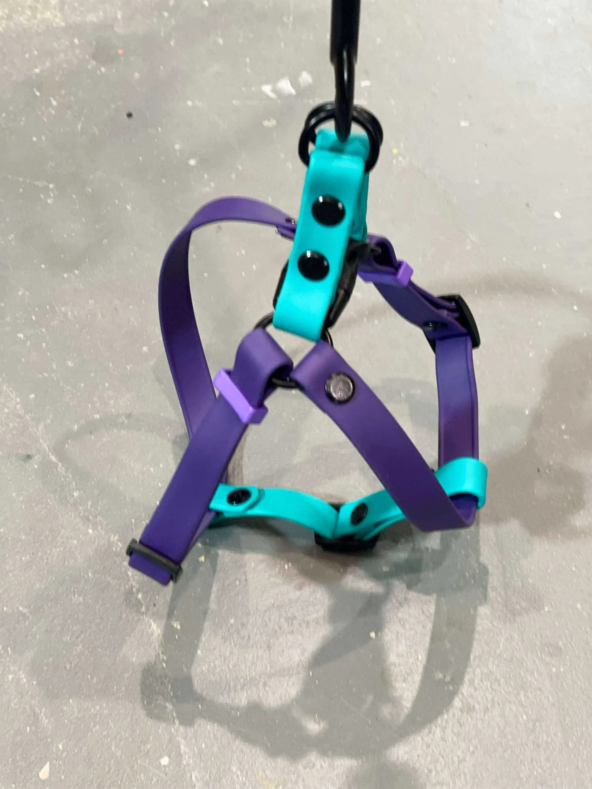 Custom Step in Harness and Leash, handmade biothane for the perfect fit