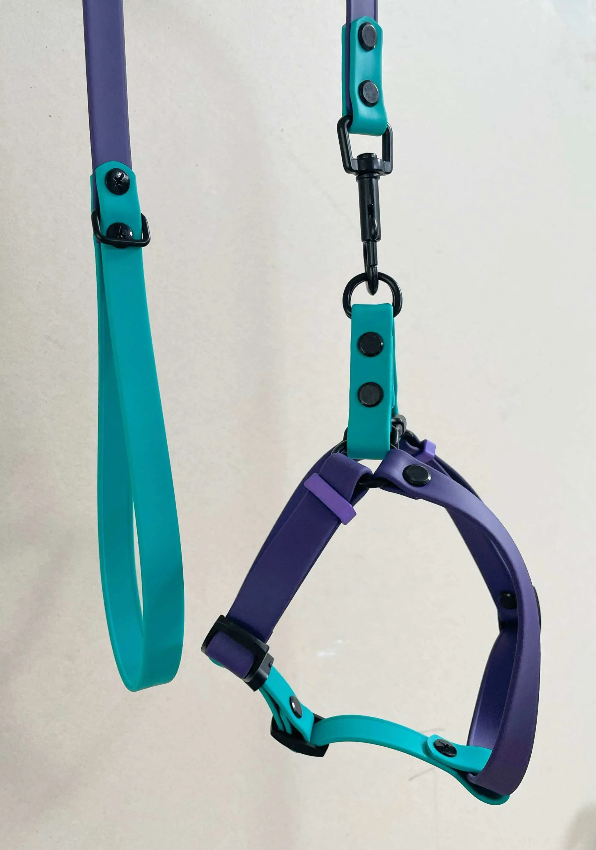 Custom Step in Harness and Leash, handmade biothane for the perfect fit