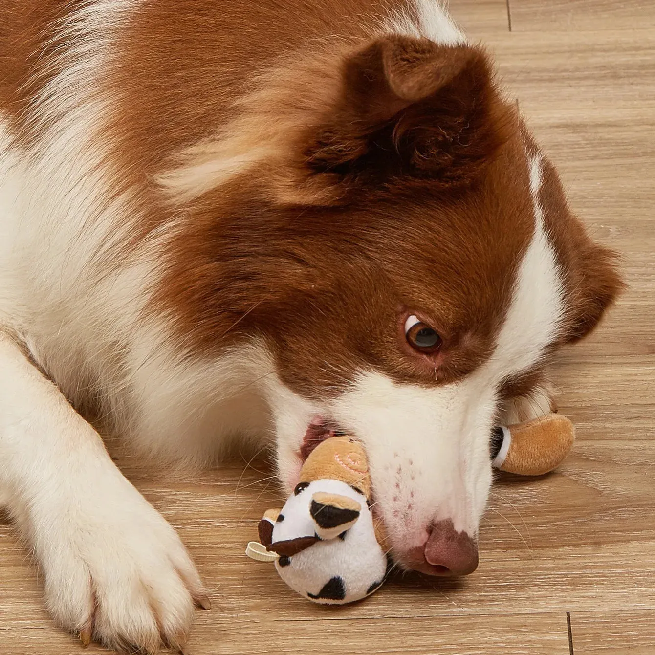 Cute Cow Chew Toy for Your Dog | Small, Medium, and Large Sizes for All Pets