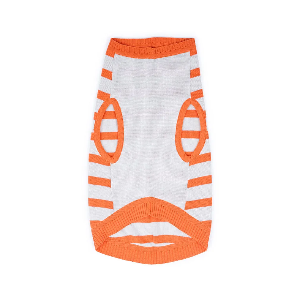 Dear Pet Cream & Orange with Stripes Pullover for Dogs