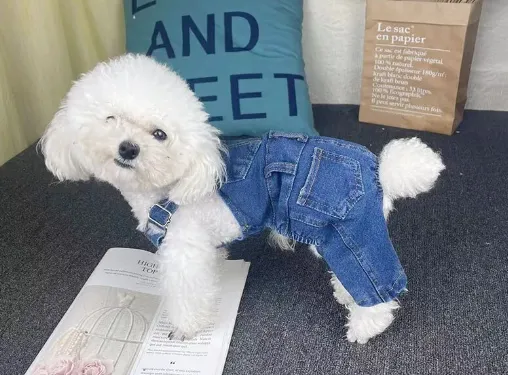 Denim Dog Overalls
