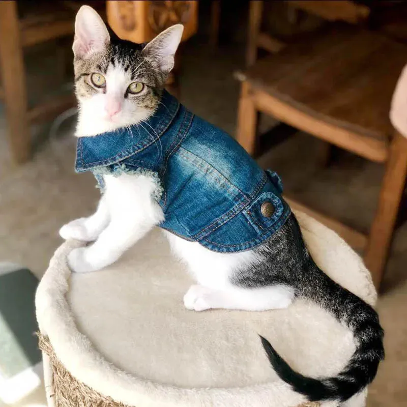 DenimPaws Jacket