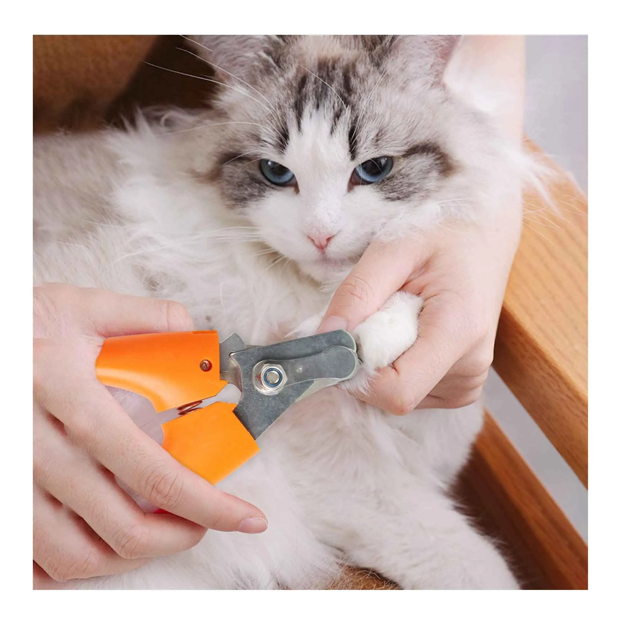 Dog Nail Trimmer Clippers Cat Pet Puppy Toenail Claw Safe Professional Cutter