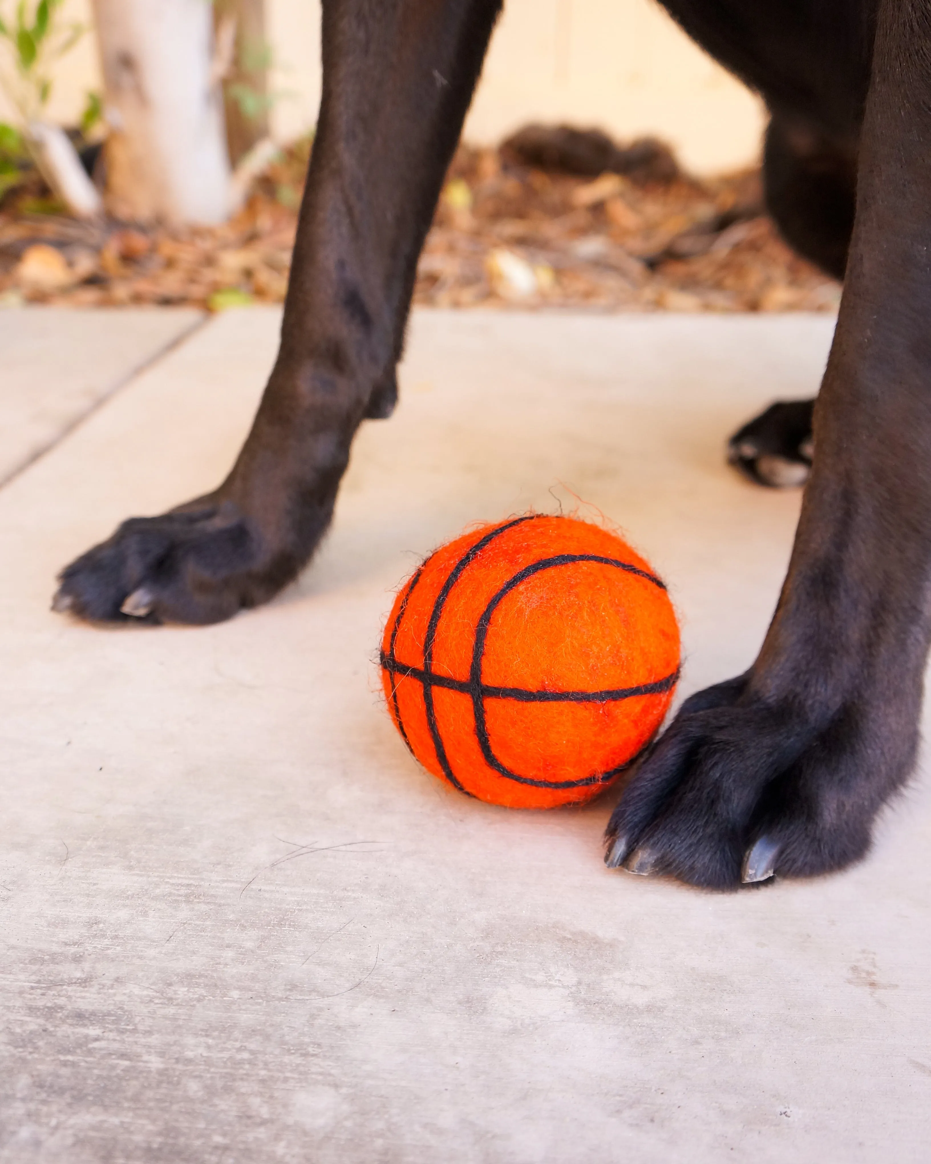 Dog XL Sport Ball