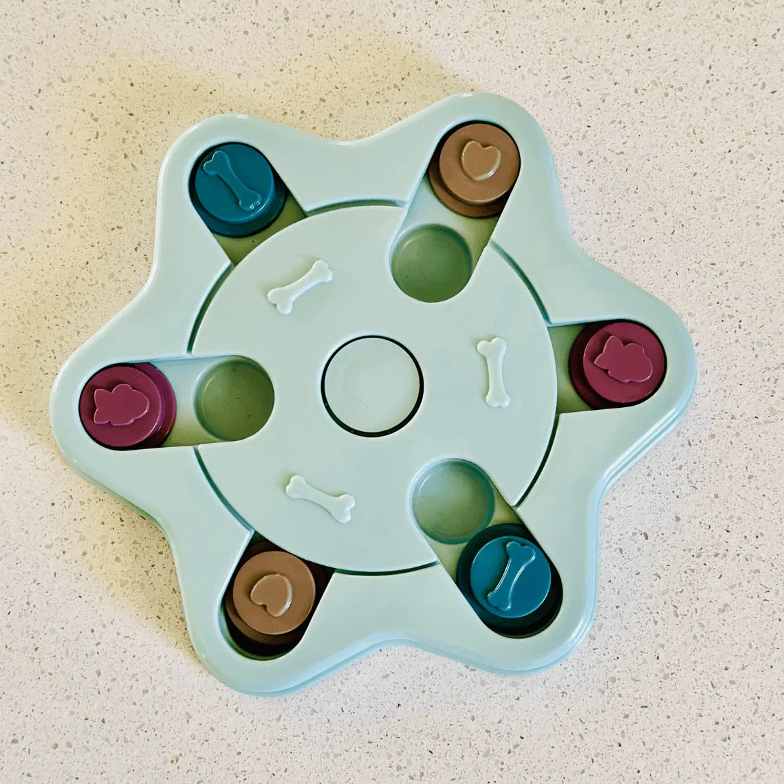 Enrichment Puzzle Toy for Dogs - Blue Start