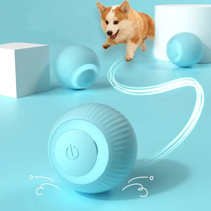 Fun Auto Rolling Ball - USB Chargeable Interactive Training Ball for Small Pets | Perfect for Pet Owners