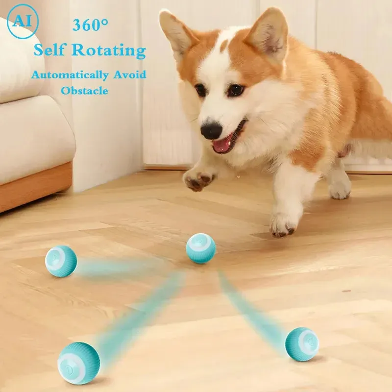 Fun Auto Rolling Ball - USB Chargeable Interactive Training Ball for Small Pets | Perfect for Pet Owners