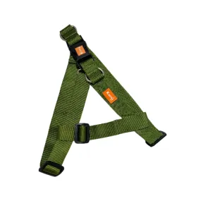 Kanu Pet Green Dog Harness