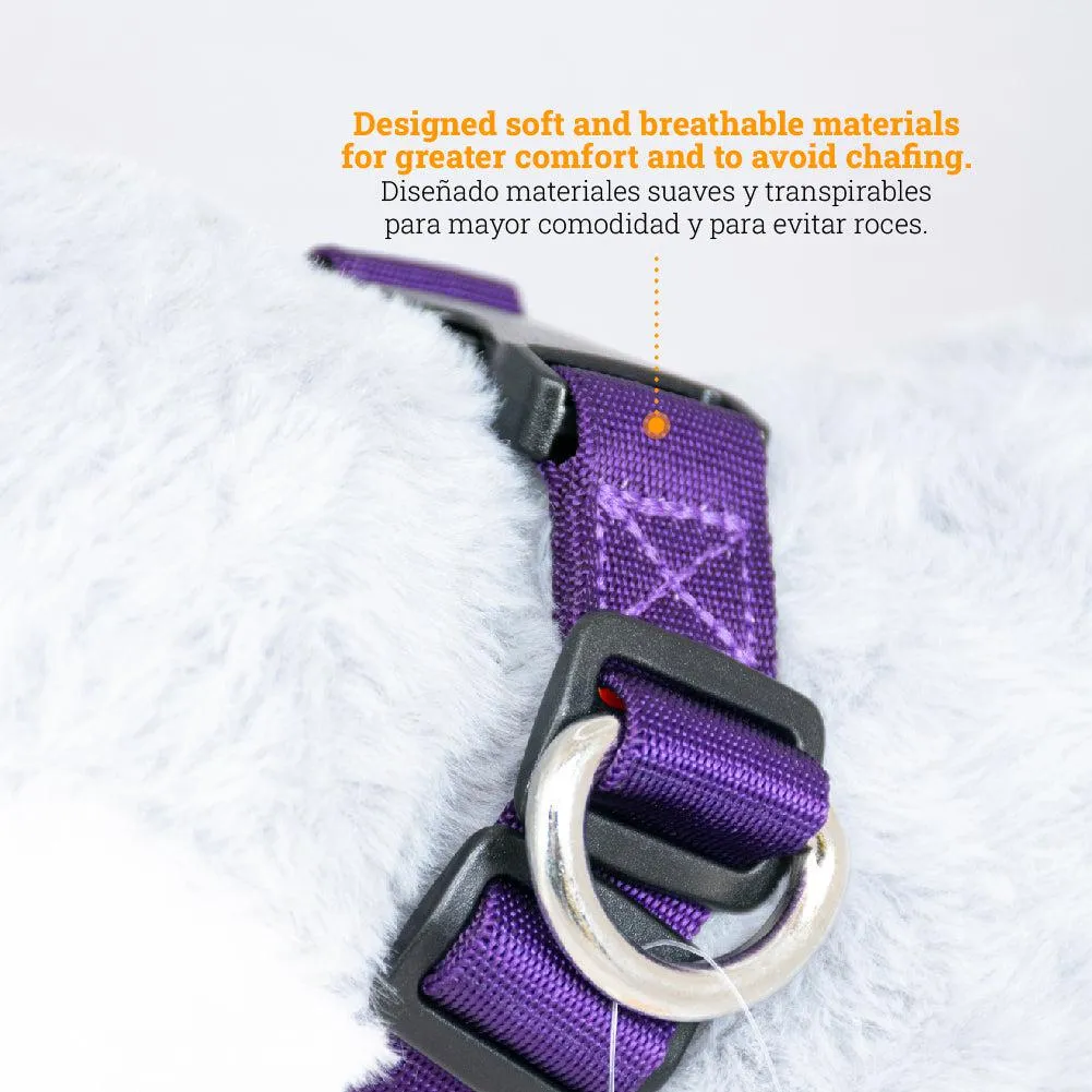 Kanu Pet Purple Dog and Cat Collar