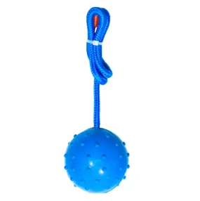 Kanu Pet Rubber Ball on Rope Tug Dog Toy