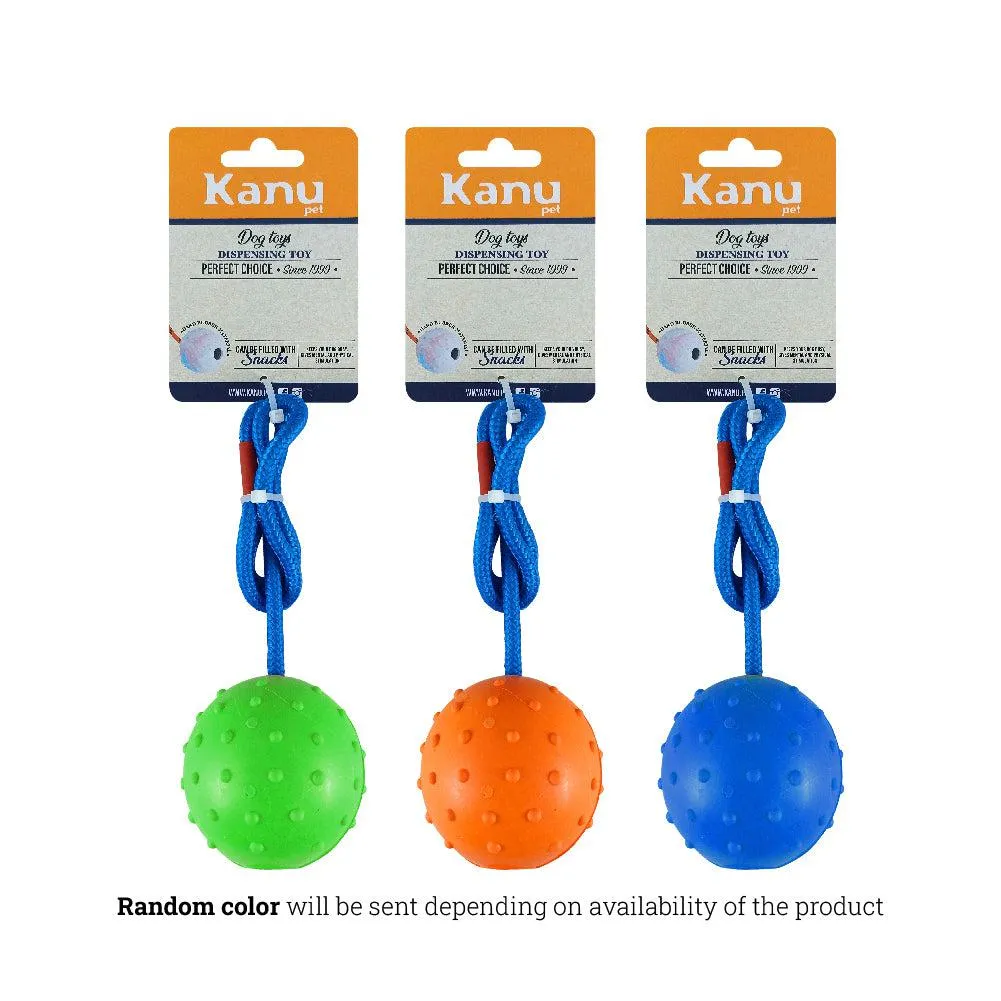 Kanu Pet Rubber Ball on Rope Tug Dog Toy