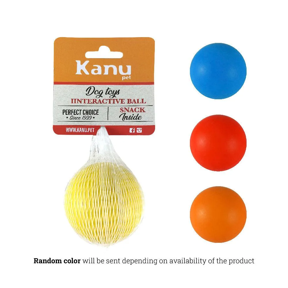 Kanu Pet Strong Rubber Ball Tough Dog Chew Toy