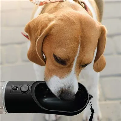 Leak-Proof Pet Travel Water Bottle