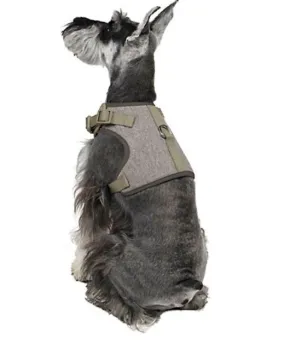 Martha Stewart Fashionable Tweed Dog Harness Grey Bowtie,XX-Small