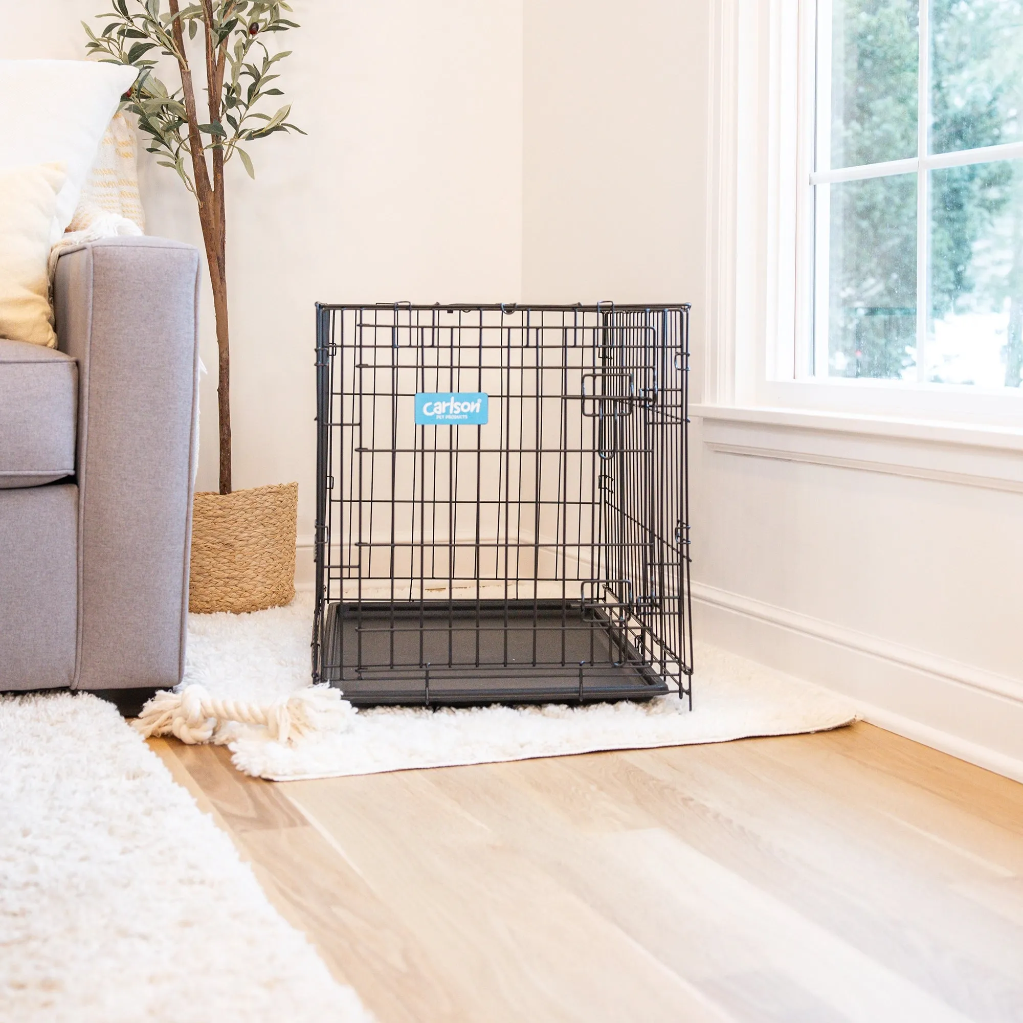 Medium Single-Door Dog Crate