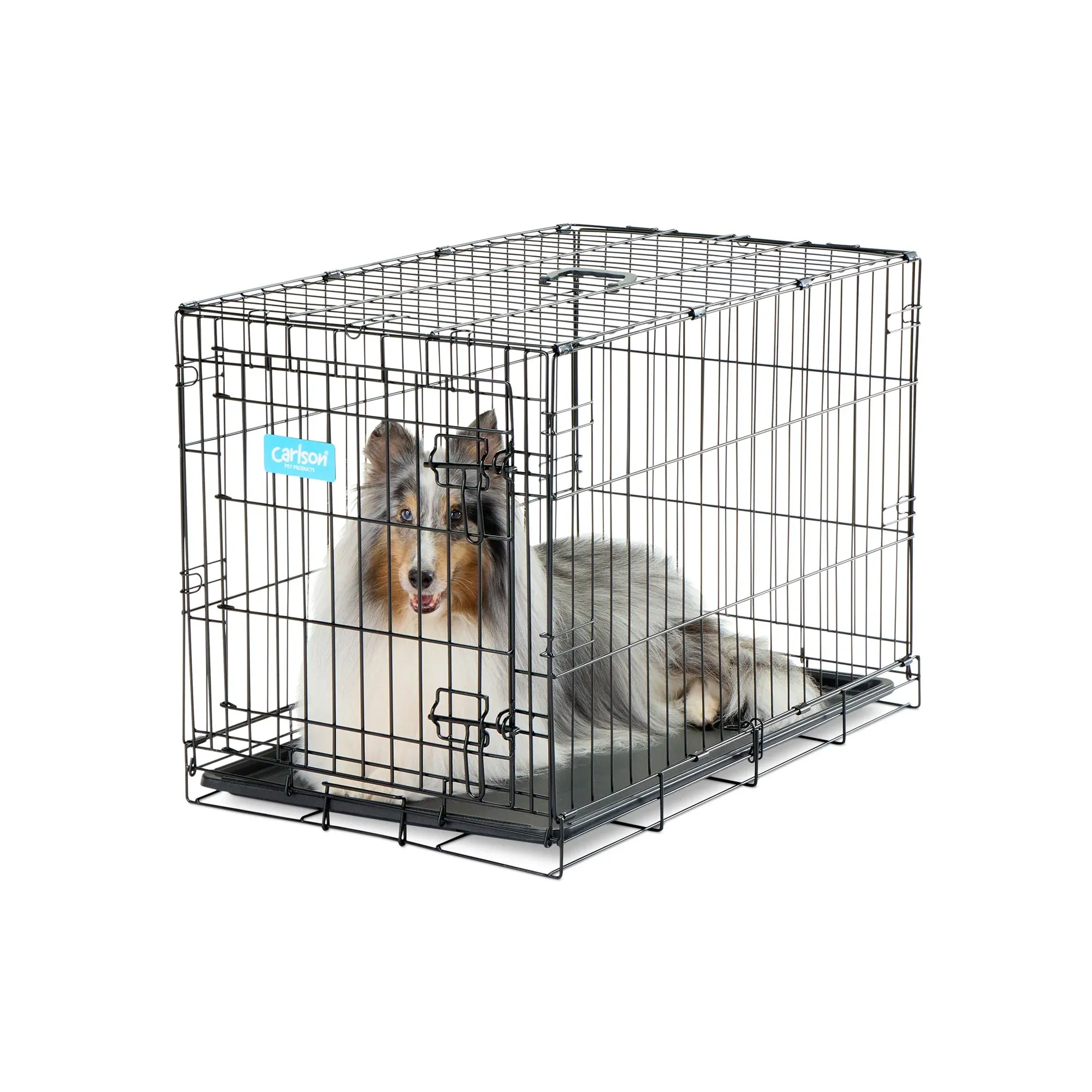 Medium Single-Door Dog Crate