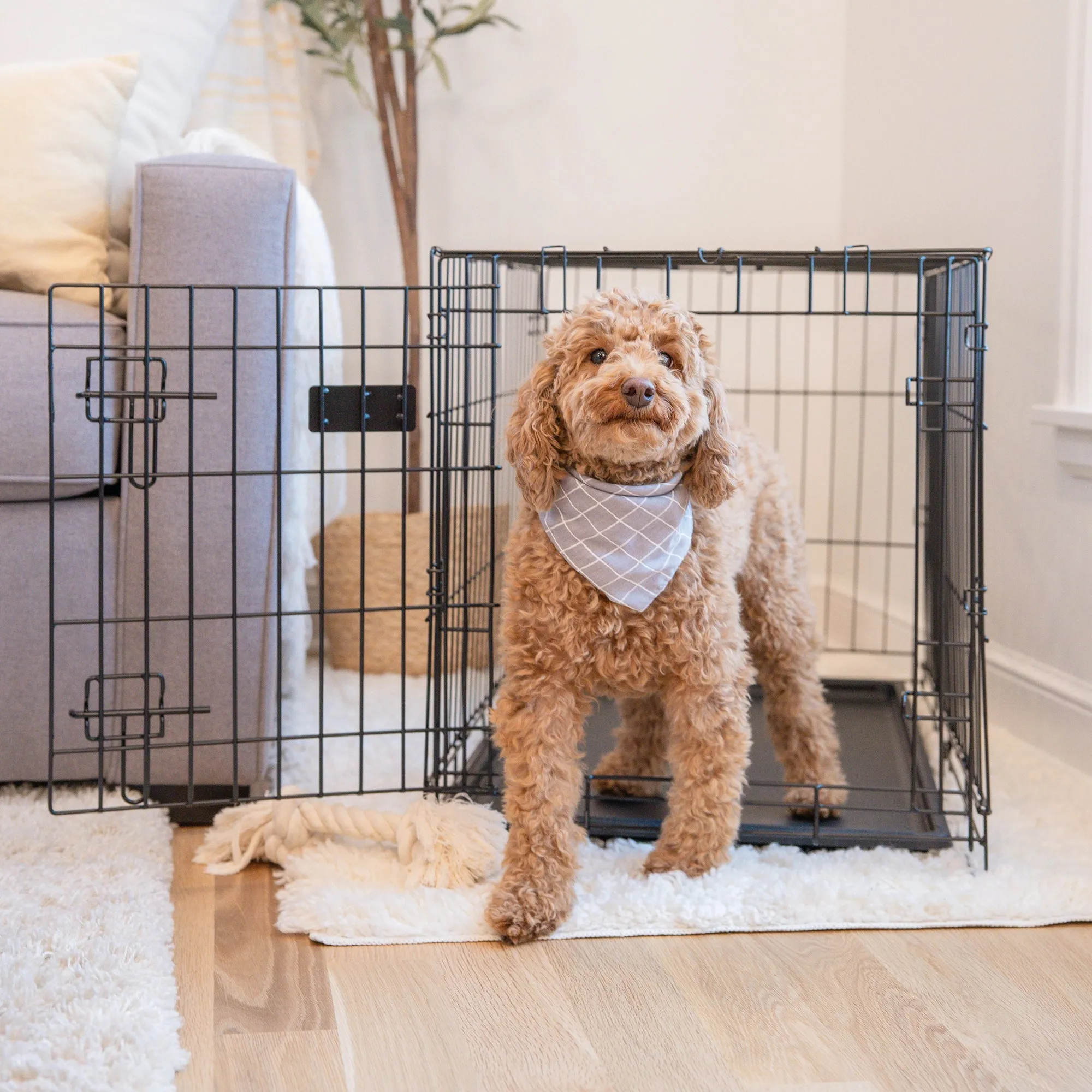 Medium Single-Door Dog Crate