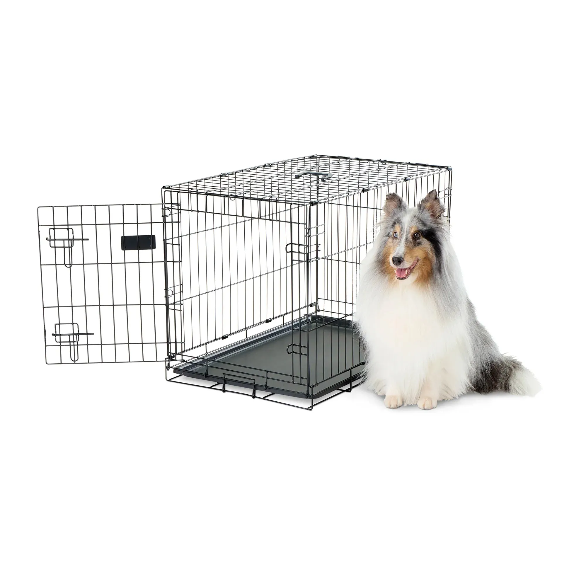 Medium Single-Door Dog Crate