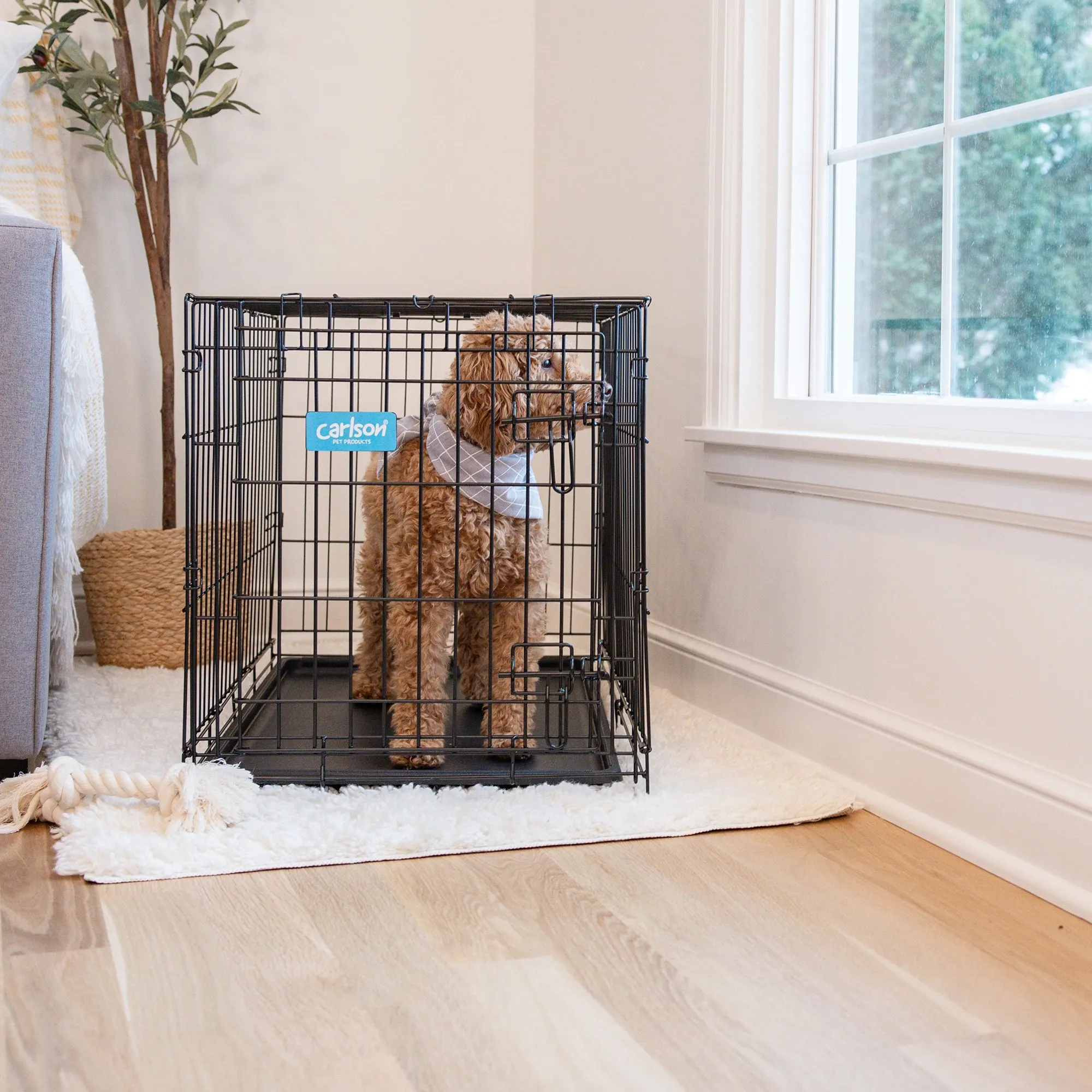 Medium Single-Door Dog Crate