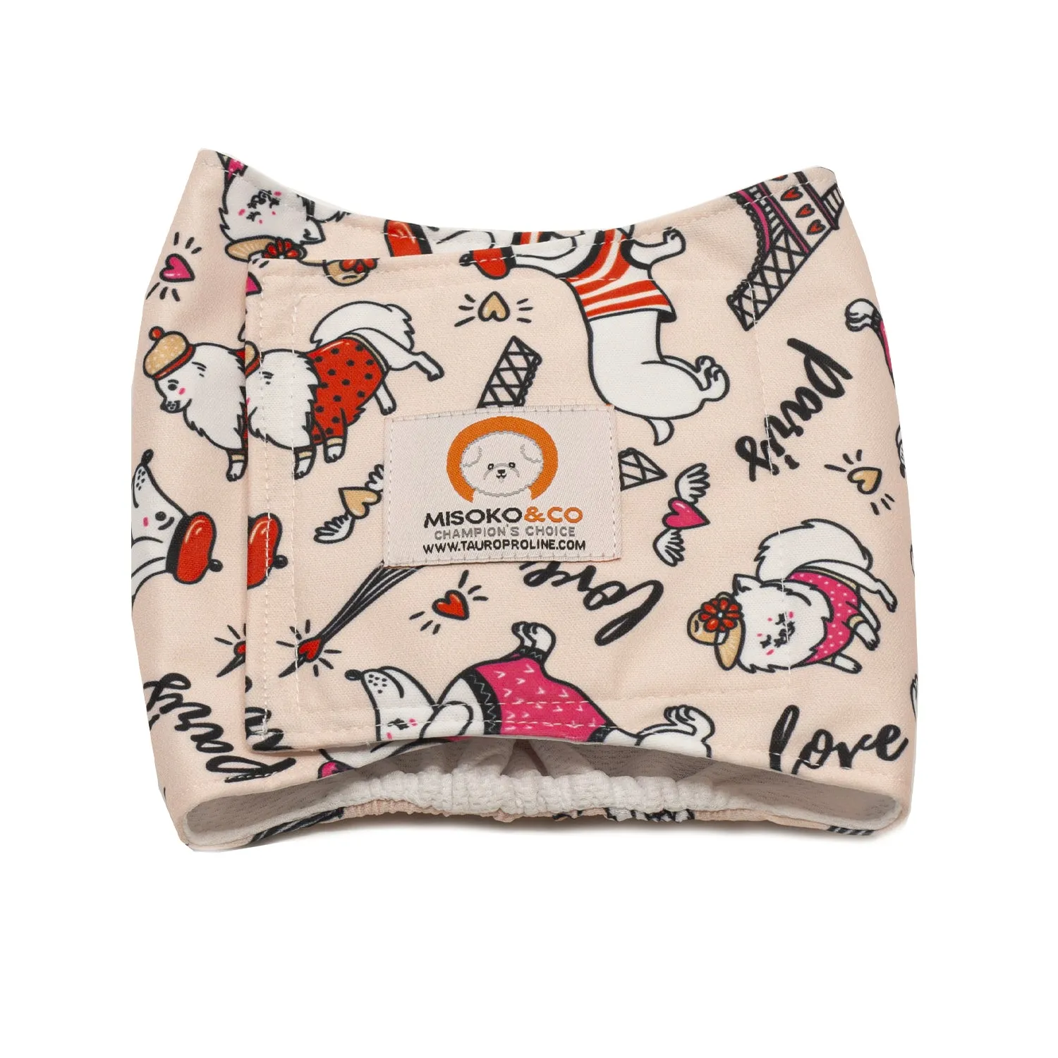 Misoko reusable diapers for male dogs, France