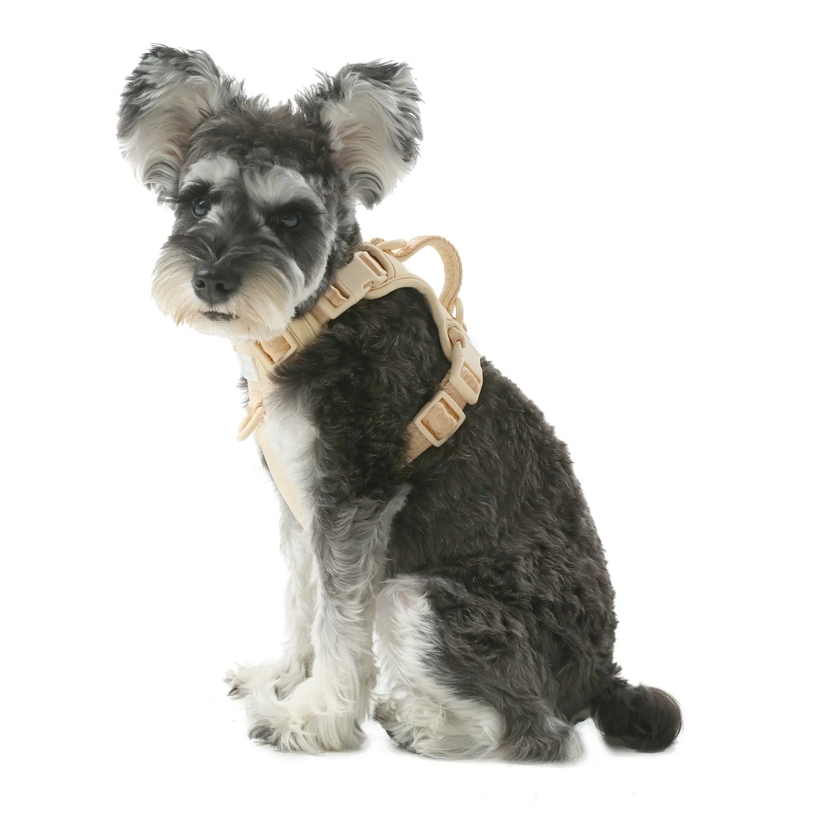 NO PULL ACTIVE  PET HARNESS - APRICOT