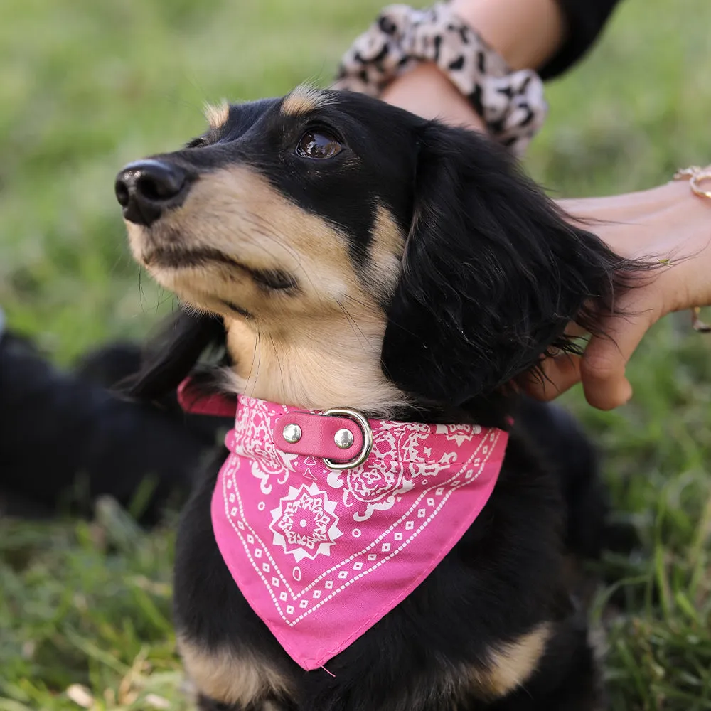 Pet Bandana Collar with Adjustable Buckle