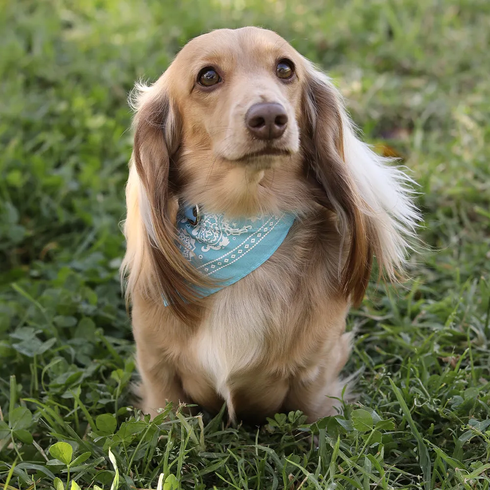 Pet Bandana Collar with Adjustable Buckle