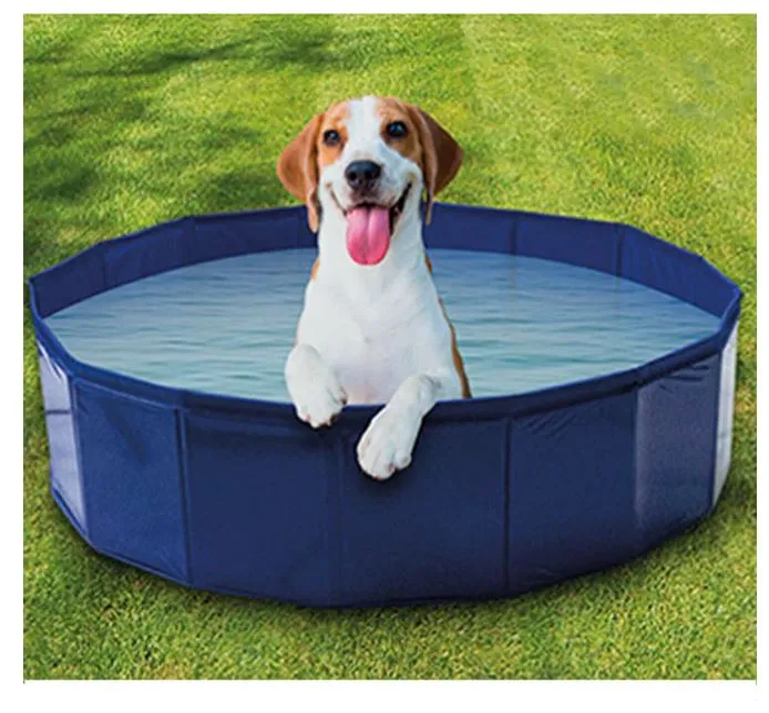 Pet Kingdom Paddling Pool