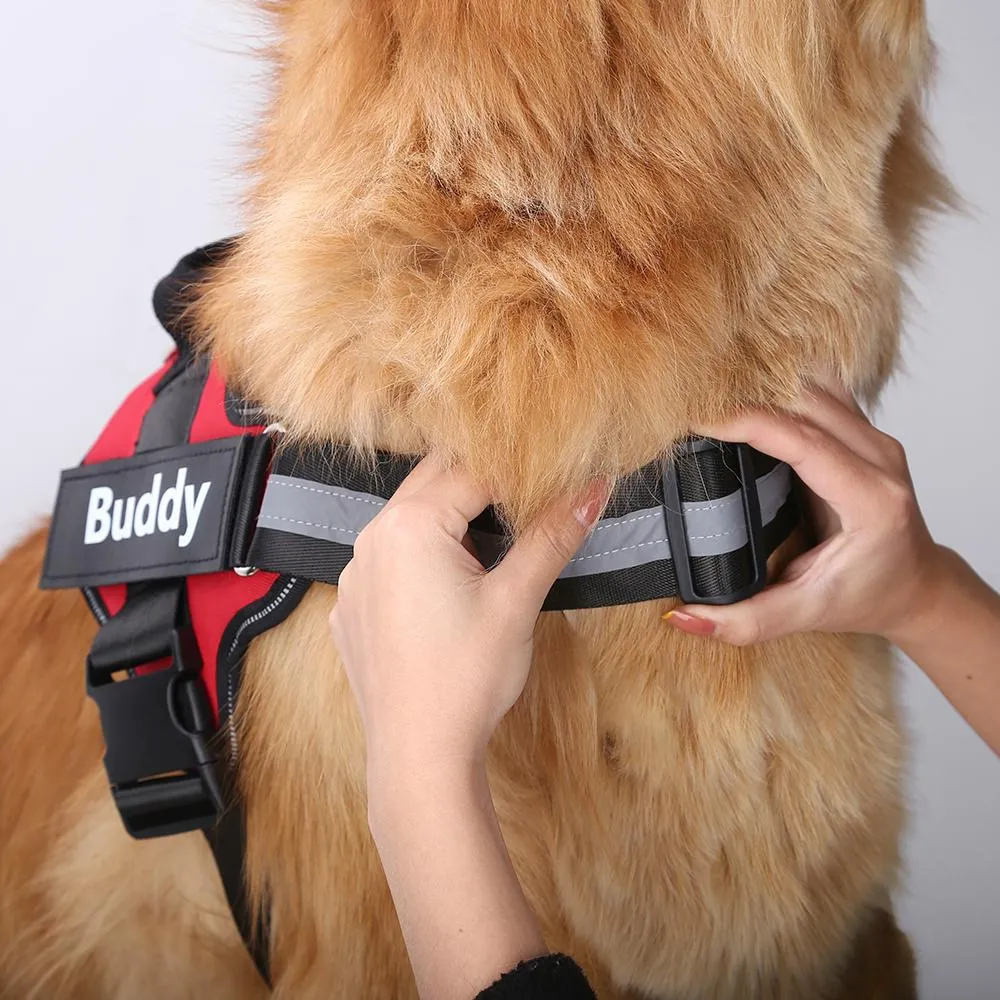 PETLAVISH™ Personalized No-Pull Dog Harness: Custom Name, Soft, Reflective, Breathable, Control Vest