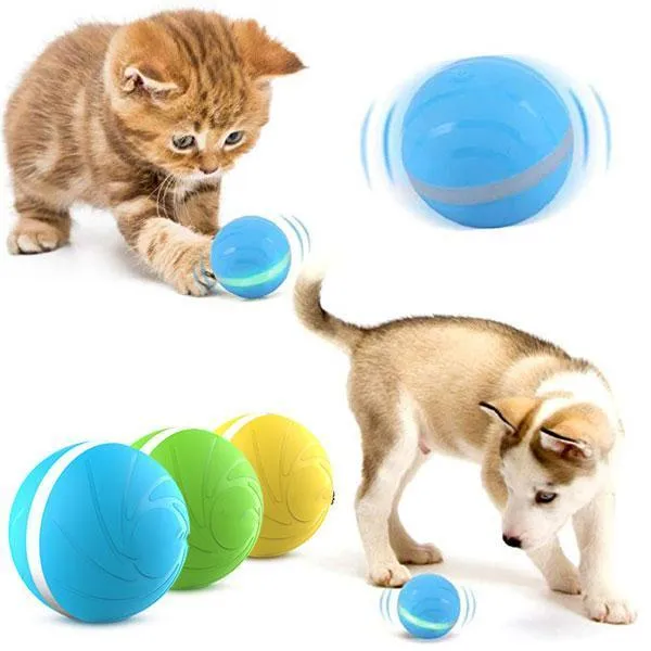 SMART PET BALL