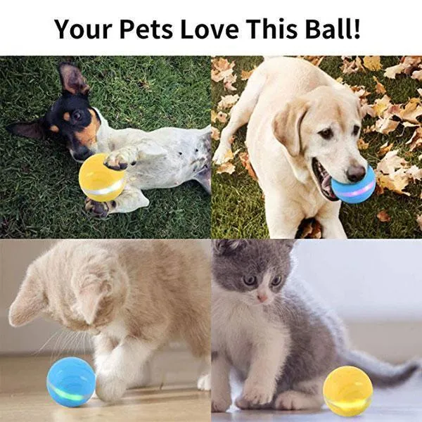 SMART PET BALL