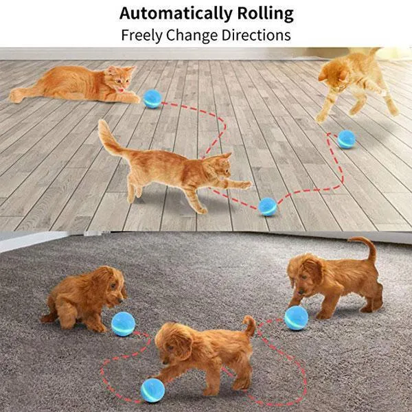 SMART PET BALL