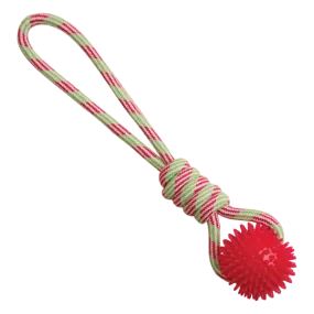 Snugarooz Spike-O-Mite Rope Dog Toy