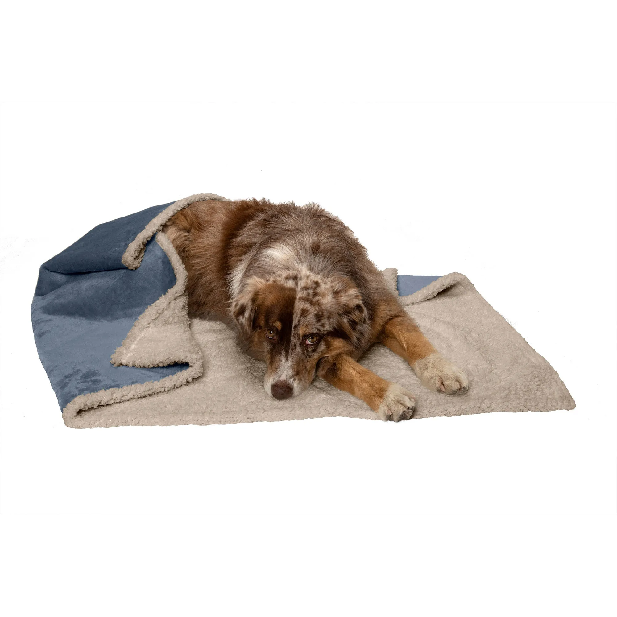 Snuggly & Warm Soft-Edge Warming Waterproof Blanket