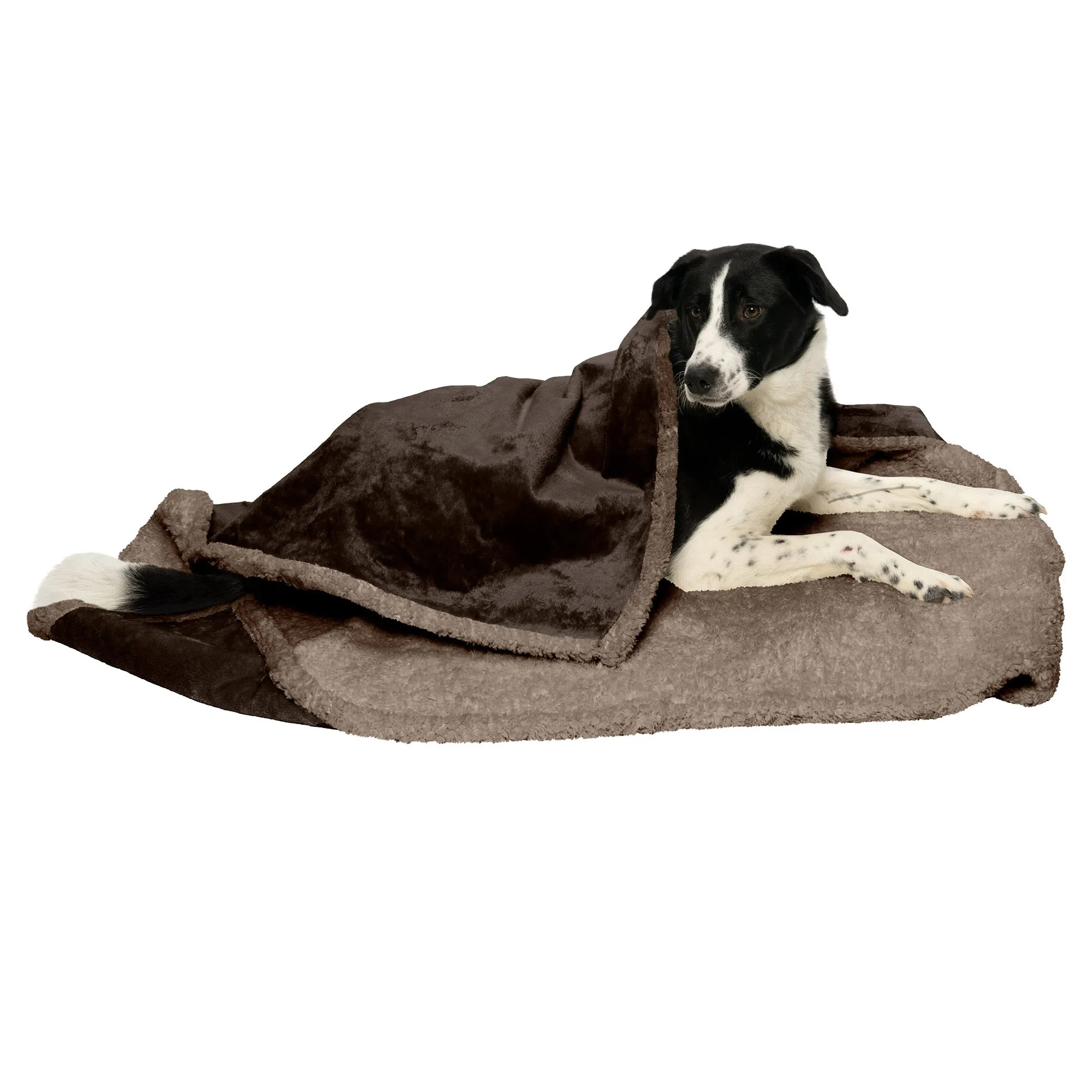 Snuggly & Warm Soft-Edge Warming Waterproof Blanket