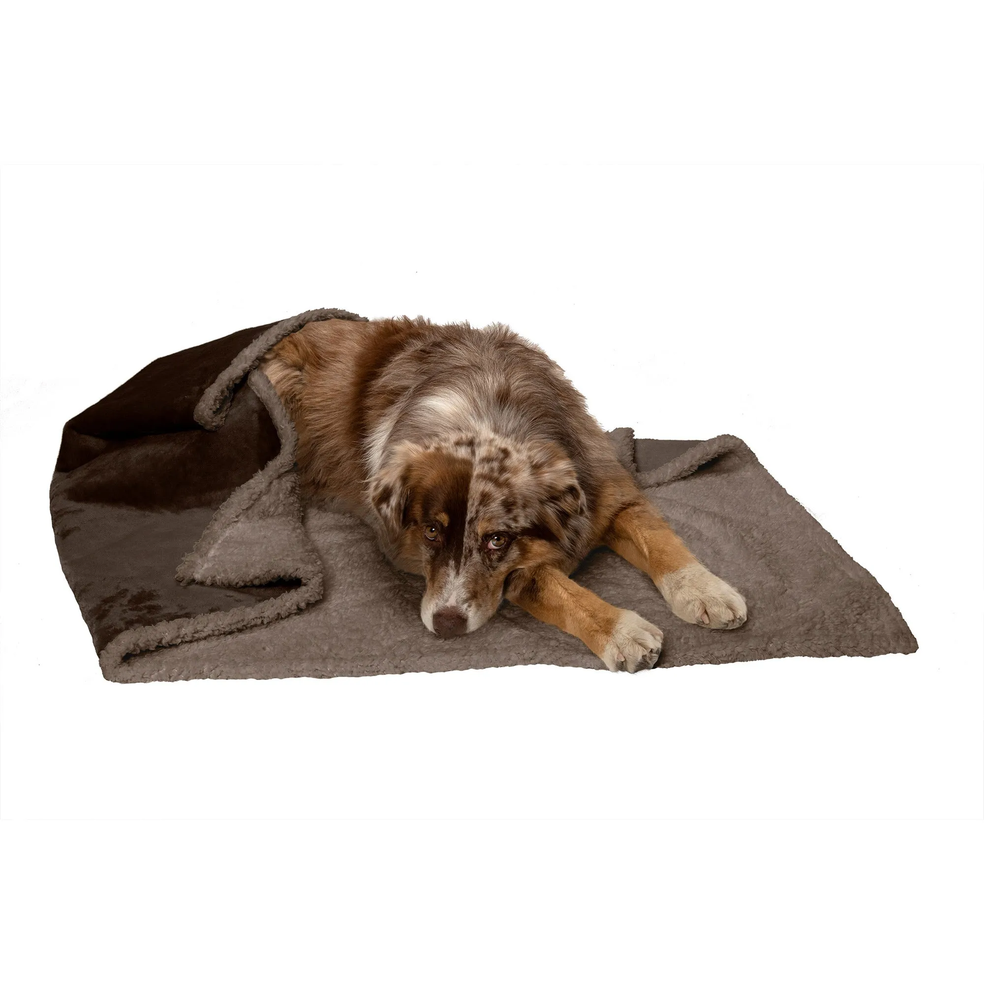 Snuggly & Warm Soft-Edge Warming Waterproof Blanket