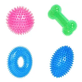 Spiked Chew Toy Combo