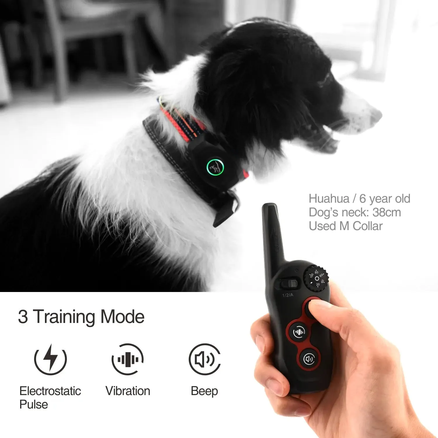 The DB400 Remote Dog Bark & Training Collar