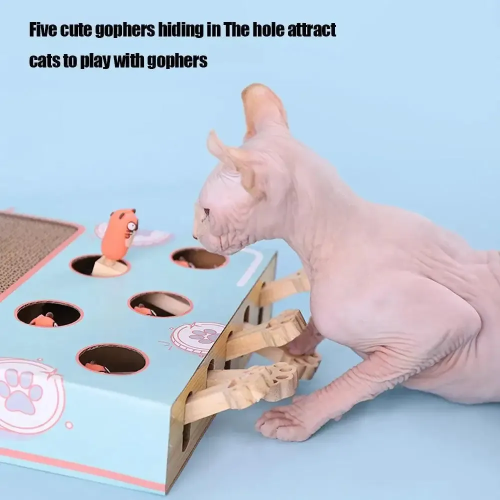 Whack-a-Mole 3-in-1 Cat Game Box